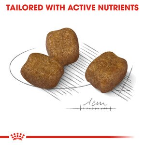 tailored with active ingredients